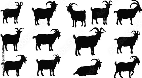Silhouettes of goats, farm goats, horned goats, standing and walking goats, livestock animal illustrations for agriculture, farming graphics, and rural nature themes