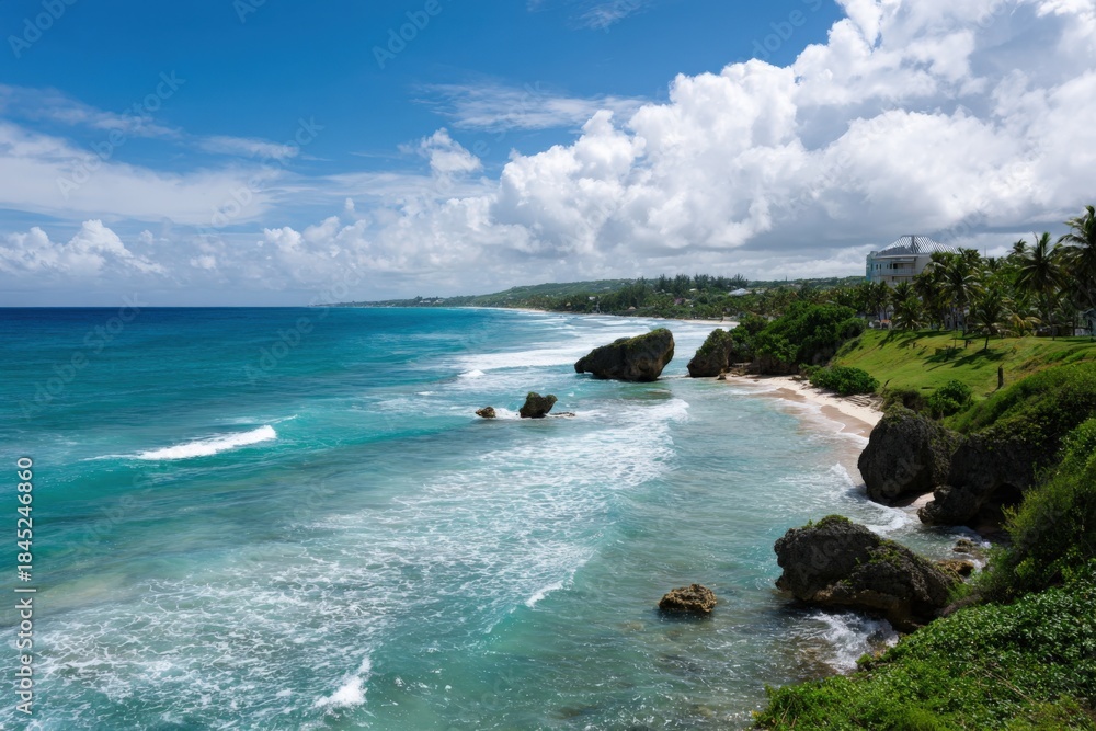 Fototapeta premium Scenic barbados beach with clear blue sky and lush greenery