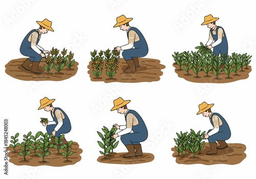 Set of illustrations depicting a farmer tending various crops like wheat and corn, symbolizing agricultural labor and farm work.