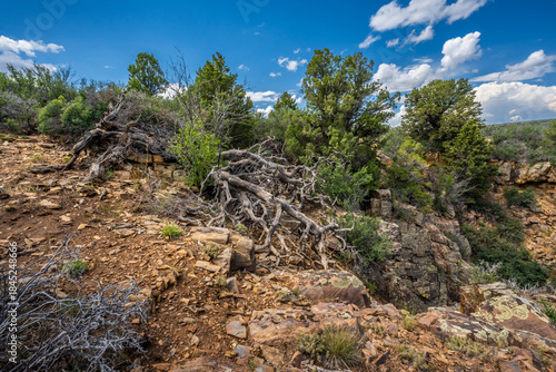 The Black Canyon of the Gunnison National Park, Colorado