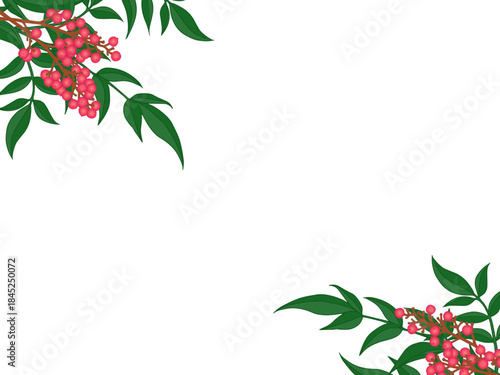 南天のフレーム①ななめ