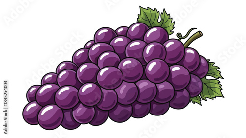 A Plump Bundle of Fresh Purple Grapes in a Cluster.