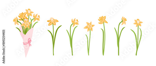 Set of spring stylized flowers elements. Collection of yellow daffodils bouquet  and flowers isolated on a white background. Vector illustration bundle.