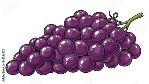Fresh purple grape cluster ripe for snacking and juicing, vibrant and appetizing imagery.