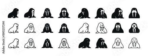 Diverse walrus silhouettes in various poses and styles
