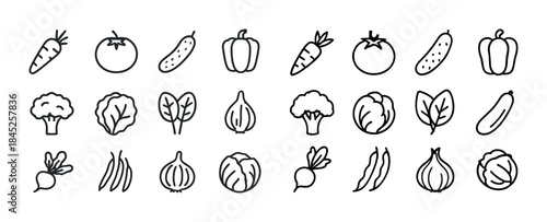 Simple line art vegetables including carrot tomato cucumber onio