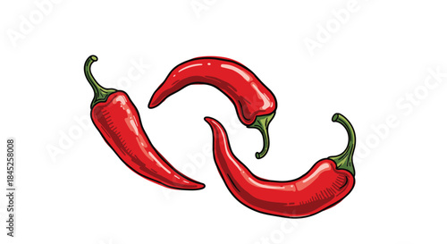 Hand-drawn illustration of three red hot chili peppers in a colorful vintage engraving style for spicy food packaging designs.