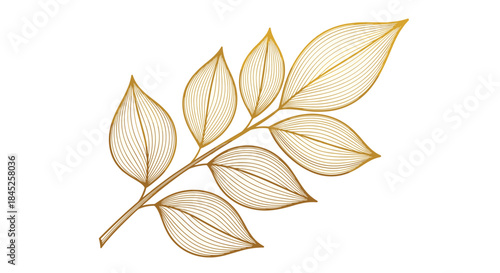 Elegant golden tree branch with detailed leaves in a luxury engraving line art style isolated on a plain white background.