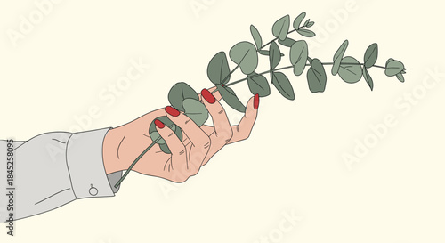 A stylish illustration of a woman's hand with red painted nails delicately holding a fresh green eucalyptus branch.