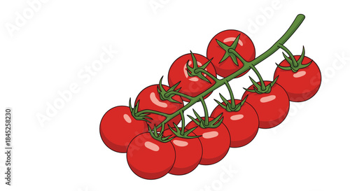 A vibrant illustration of a bunch of red cherry tomatoes still attached to the green vine on a white background.