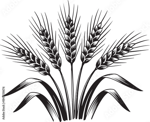 Black and white wheat sheaf vector design
