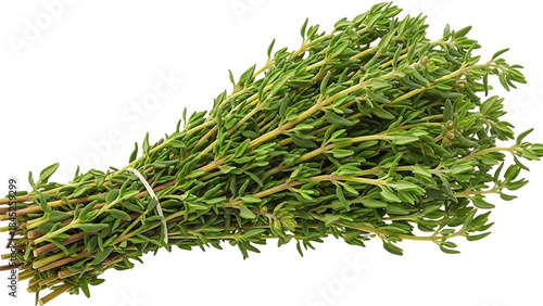 Fresh bunch of green thyme herbs, aromatic culinary ingredient for seasoning dishes, isolated on white background.