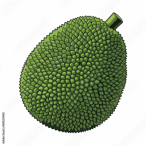 Close-up of a large green jackfruit displaying its tropical rind texture.