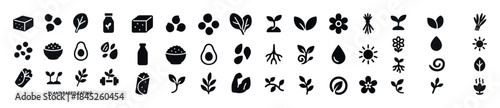 Plant-based icons: symbols of vegetables, fruits, and leaves in