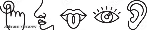 Five human senses one line drawing set. Touch, smell, taste, look, hear icon. 5 five types symbols.one line  vector illustration  with out background