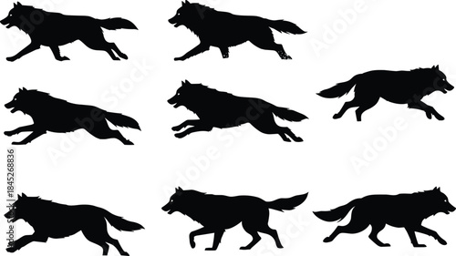Running wolf silhouette collection in dynamic poses, wild animal motion illustration set isolated on white background for design use