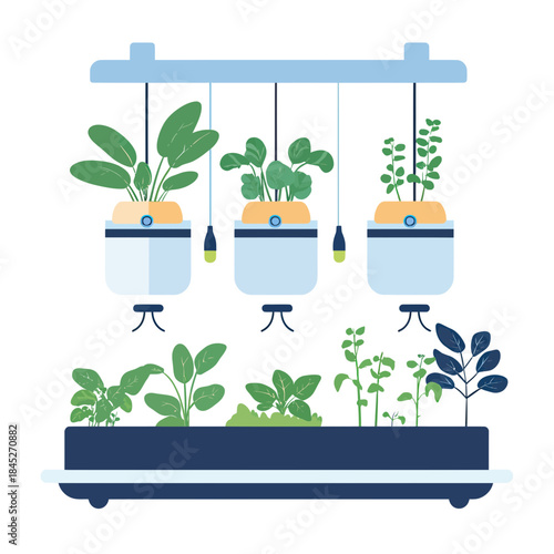 Indoor hydroponic garden system with hanging plant containers and leafy green vegetables growing under LED lights flat vector illustration