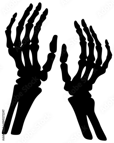 Skeleton hands silhouette illustration
