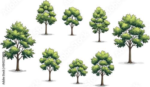Cartoon trees, green foliage, nature illustration, diverse tree types, forest design, educational graphic, circular layout, shadowed trunks, environment art