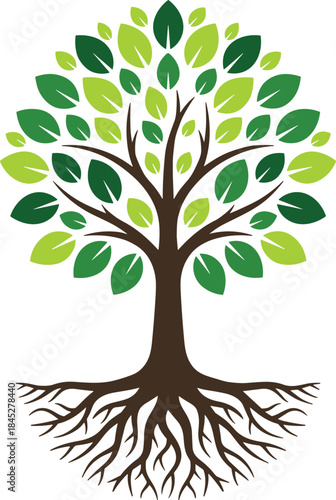 Set of four charming, highly detailed cartoon deciduous trees with textured brown trunks and vibrant green foliage, ideal for gaming and digital illustration assets.