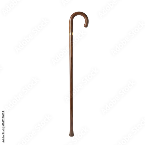 Elegant Walking Cane with Curved Handle for Support and Mobility Aid