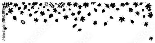 Falling autumn leaves silhouette forming a decorative nature border