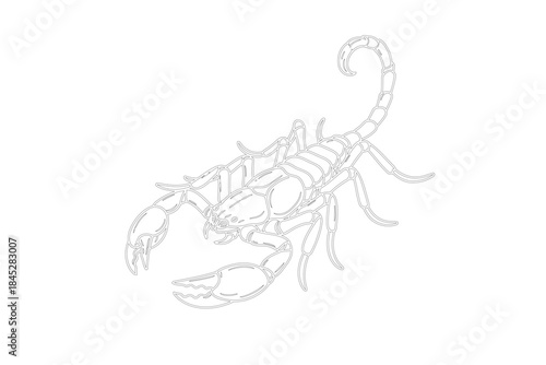 Detailed illustration of scorpion with menacing posture on black and white background
