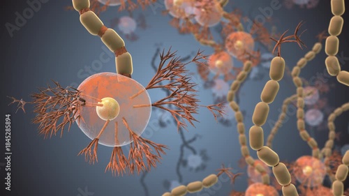 Neural Cell Network Concept Shown in Medical Video