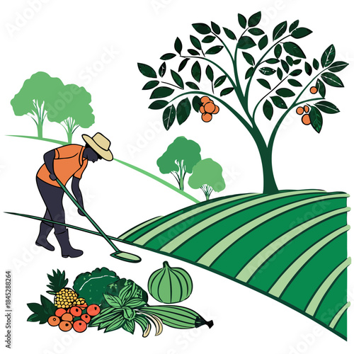A dedicated farmer working in a green agricultural field with fresh fruit and vegetable harvest.