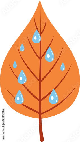 Close-up of dew drops on a textured autumn leaf.