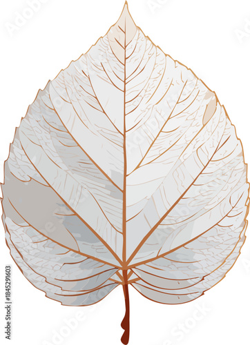 Close-up monochrome image of a dried leaf's intricate vein structure 