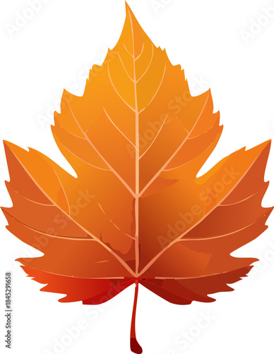 Classic single autumn maple leaf in rich orange and brown colors with pronounced veins and a short stem, isolated white background.