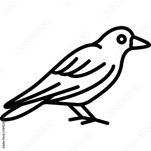Jackdaw Crow Bird Line Icon: Intelligence and Urban Wildlife
