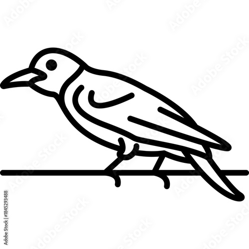 Oriole Songbird Line Icon: Nature and Wildlife