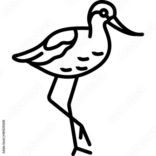 Avocet Wading Bird Line Icon: Shorebird and Wetland