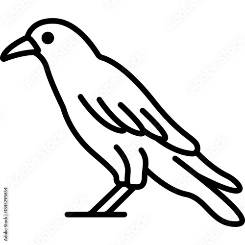 Crow Corvid Bird Line Icon: Intelligence and Nature