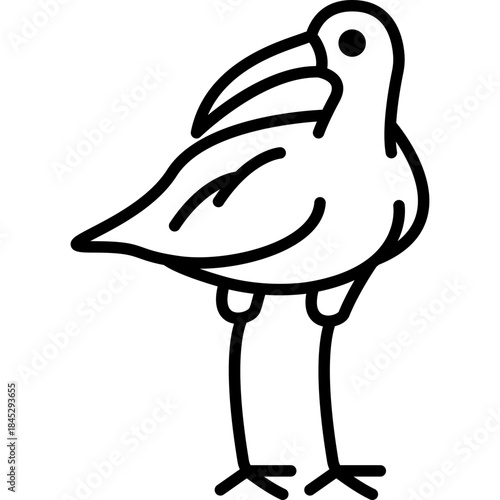 Curlew Wading Bird Line Icon: Shorebird and Coastal