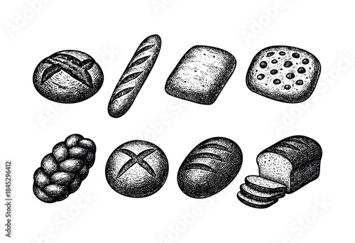 A diverse collection of various hand-drawn bread types in a vintage, detailed engraving style, ideal for bakery branding or menu design — stock vector.