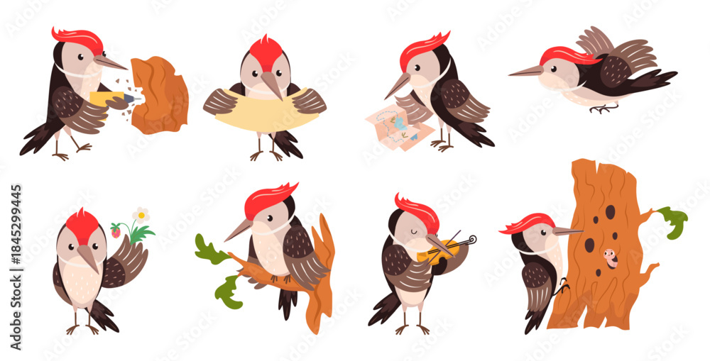 Obraz premium Funny woodpeckers. Cartoon woodpecker different poses. Adorable forest bird on tree, flying, holding banner, play music. Nowaday vector clipart
