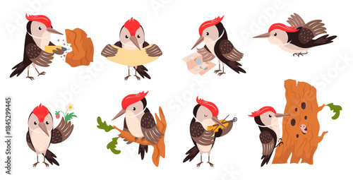 Funny woodpeckers. Cartoon woodpecker different poses. Adorable forest bird on tree, flying, holding banner, play music. Nowaday vector clipart