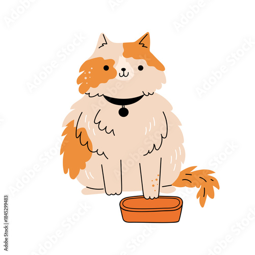 Cat character sitting in front of bowl asking for food. Vector in flat style, isolated cute kitten with fluffy coat and collar with name. Home pet with happy expression on muzzle, eating meal