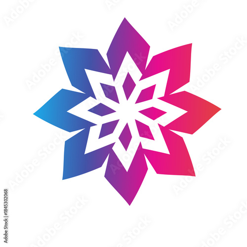 vector snowflake icon
