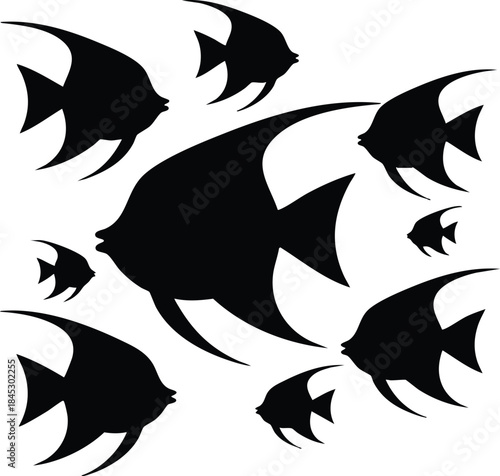 Black Angelfish Vector Art, Tropical Fish Silhouettes, A Collection of Scalare Fish, silhouette, illustration, vector