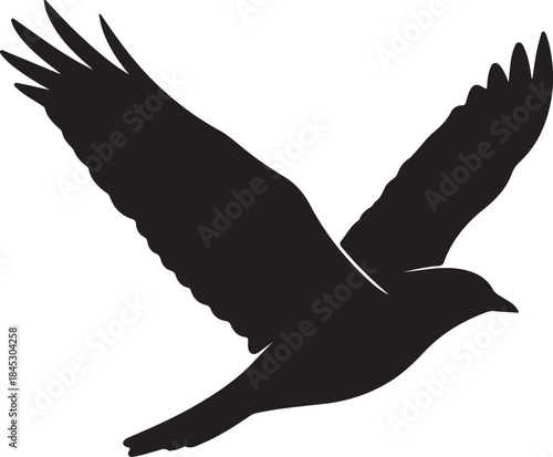Black Flying Bird Silhouette Vector Graphic Isolated on White Background