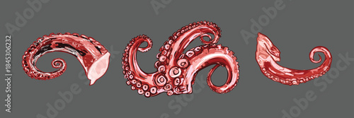 Grilled Octopus Tentacles