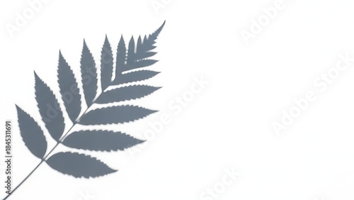 Vintage nature illustration featuring a black and white floral design with a butterfly and garden leaves in a vector silhouette art style