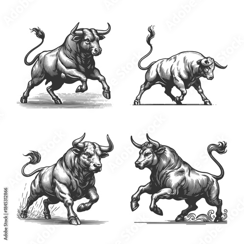 bull in various powerful poses Set collection bundle sketch engraving generative ai vector illustration. Scratch board imitation. Black and white image.