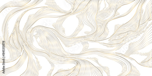 Elegant vector abstract golden wave background, smooth lines and soft gradients, luxurious flowing design. Modern presentations, packaging, banners, premium templates