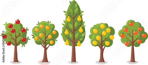 Cartoon Fruit Tree Illustrations Featuring Apple, Orange, Pear, Lemon, and Persimmon – Educational Clipart for Nature and Food Design