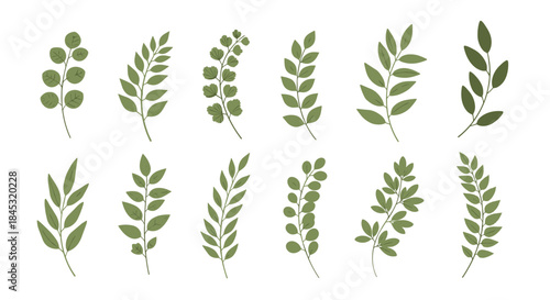 Studio collection of twelve green leafy sprigs with varying shapes and sizes arranged neatly in two rows on a clean white background for nature themed design projects.